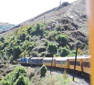 Mit der Taieri Railway durch die Natur Neuselands