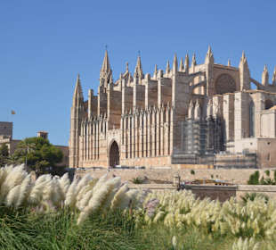 Kathedrale von Palma