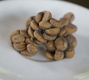 Kawa Luwak