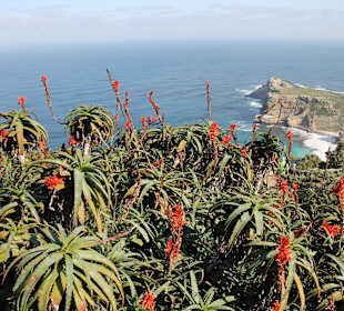 Cape Point