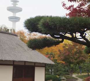 Parkanlage Planten un Blomen