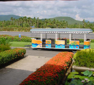 Ankunft auf Koh Samui