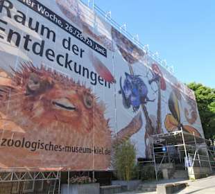 Der Haupteingang zum Museum hinter Planen