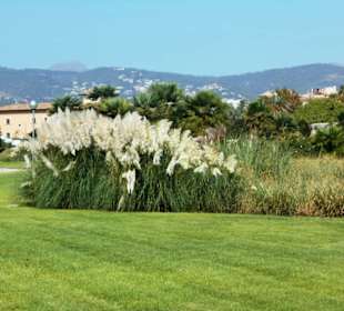 Parc de la Mar
