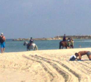 Городской пляж