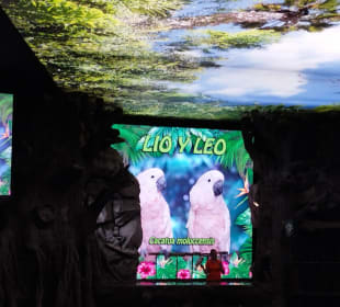Loro Parque