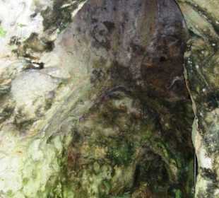 Höhle