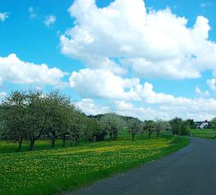 Entlang der romantischen Burgenstraße Fränkischen Schweiz