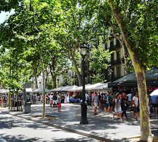 Impressionen von der Rambla