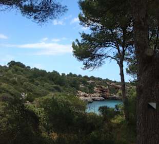 Cala sa Nau...Weg zum Strand