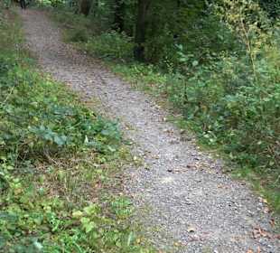Altwege Rundwanderung Bebenhausen