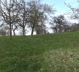 Der Grafenberg