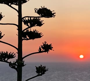 Wandern Rhodos Stadt