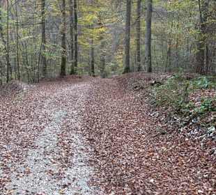 Wandertour "Rund um den Rossberg" Öschingen