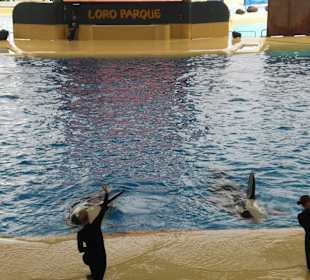 Loro Park