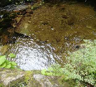 Wandern Grafenwiesen