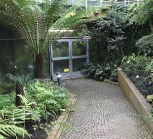 Palmfarnhaus -  Botanischer Garten