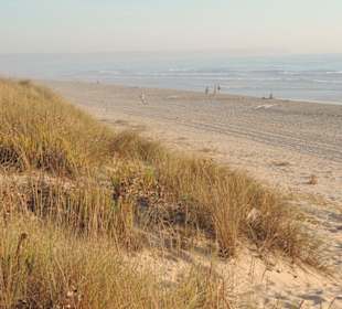 Dünen und Strand