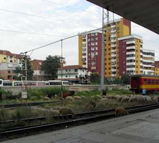 Bahnhof von Tirana