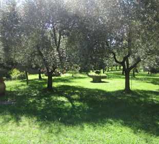 Monasterio Madonna delle Lacrime