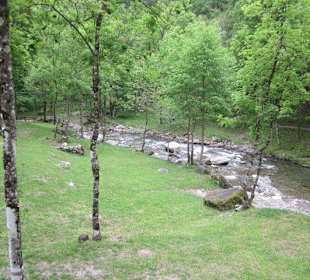 Forellenfarm und Agriturismo Punt di Reseg