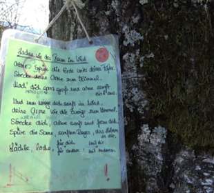 Premiumwanderweg "hochgeblickt"