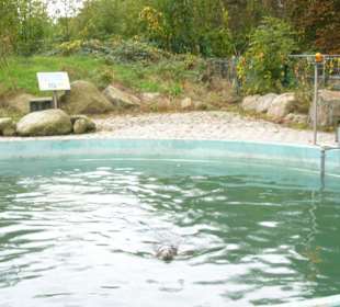 Kurpark