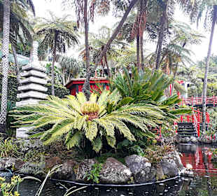 Botanischer Garten Monte Palace