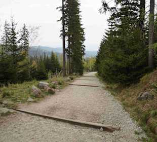 Berg Schneekoppe/Śnieżka