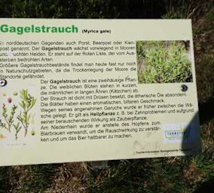 Infotafel am Moorpfad von Tarmstedt