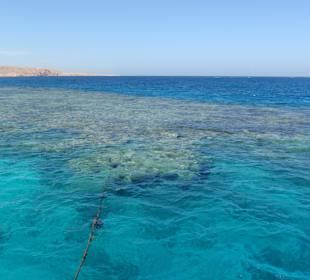 Bootstour (Riff,Schnorcheln)