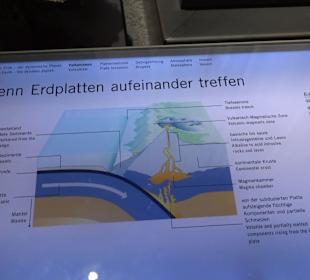 Museum für Naturkunde