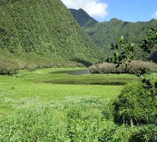 Impressionen vom Grand Étang
