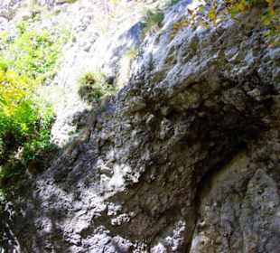 Blick nach oben Felsen pur