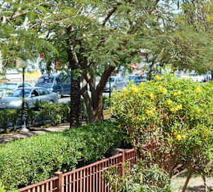 Aqaba Park