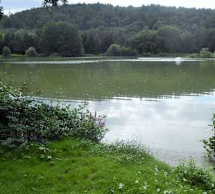 See im Kurpark