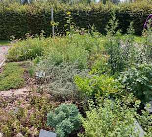 Kräutergarten
