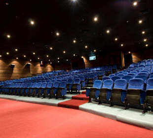 Cinema Hall 