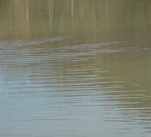 Unterer Schlossgarten Stuttgart