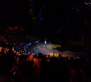 Night Safari - Tiershow