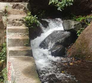 Levada