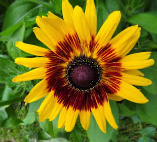 Eindrücke vom Rundgang durch den Park der Gärten