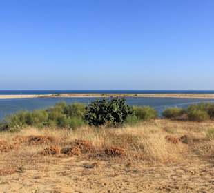 Blick in das Naturschutzgebiet