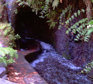 Und ab durch die Tunnel