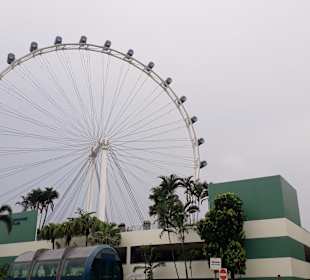 Singapore Flyer