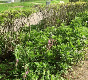 Kurgarten Erpfingen