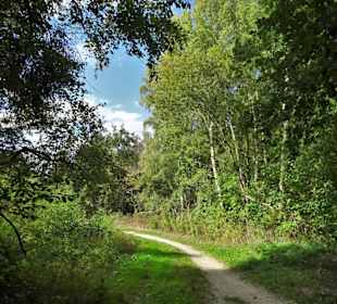 Wege durch den Tiergarten Delmenhorst
