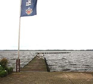 Bootssteg am Dümmer See