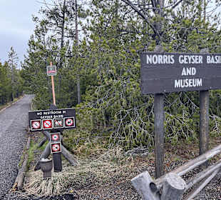 Yellowstone Nationalpark