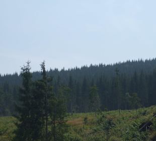 Parcul Natural Apuseni